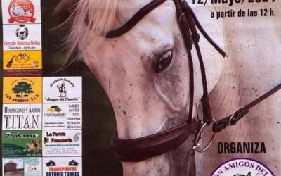 La Asociación Amigos del Caballo de la Perdiz celebra su tradicional convivencia