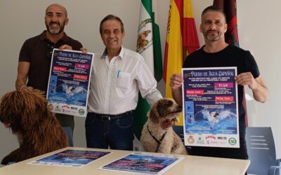 Los perros de agua demostrarán sus habilidades, este sábado en el Club Náutico