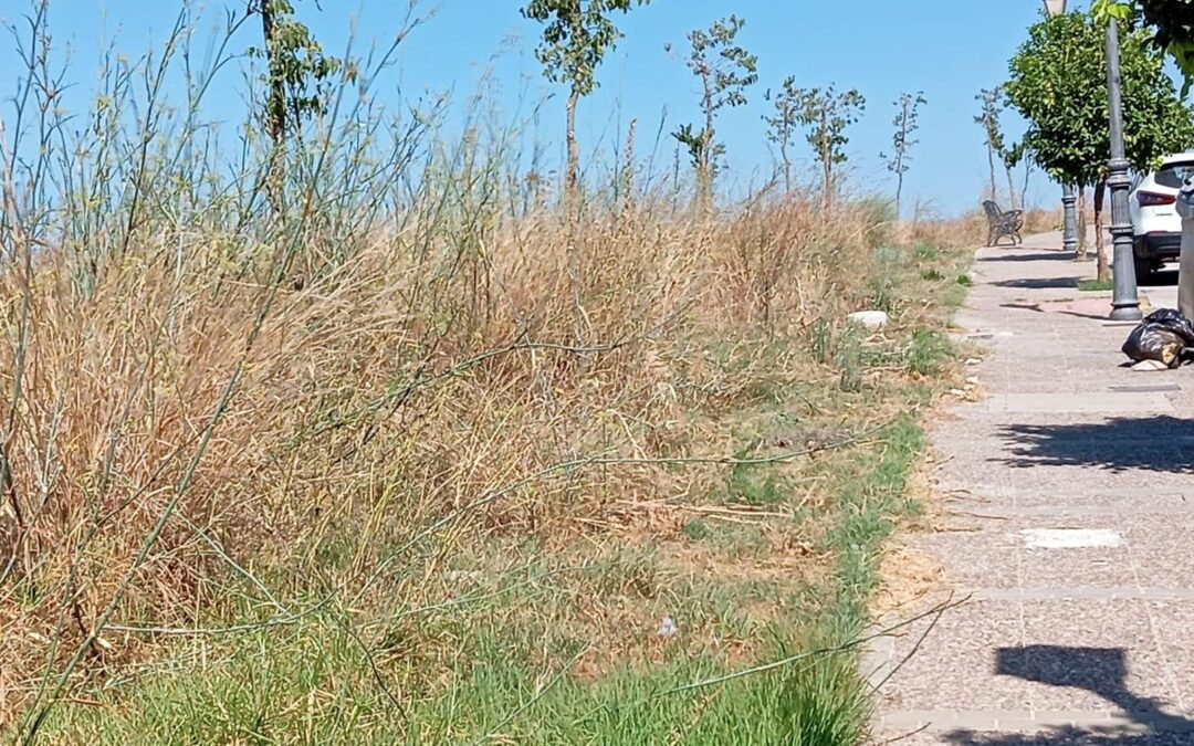 IU Arcos denuncia falta de acción en infraestructuras y mantenimiento de la Barriada Los Pueblos Blancos