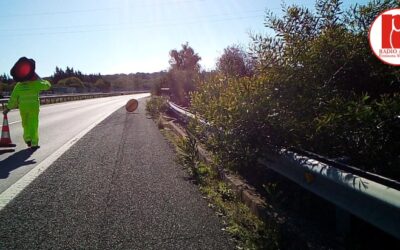 La Junta adjudica por 11 millones la conservación de cerca de 500 kilómetros de carreteras de Cádiz