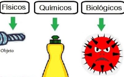 ‘Principales agentes causantes de contaminación de alimentos’, tercer tema del curso de ‘Manipulador de alimentos’