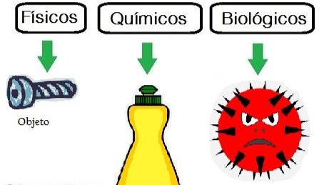 ‘Principales agentes causantes de contaminación de alimentos’, tercer tema del curso de ‘Manipulador de alimentos’