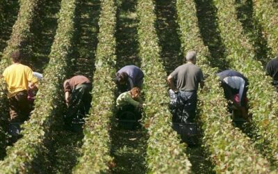 El paro sube en 13 personas desempleadas en Arcos en el mes de septiembre