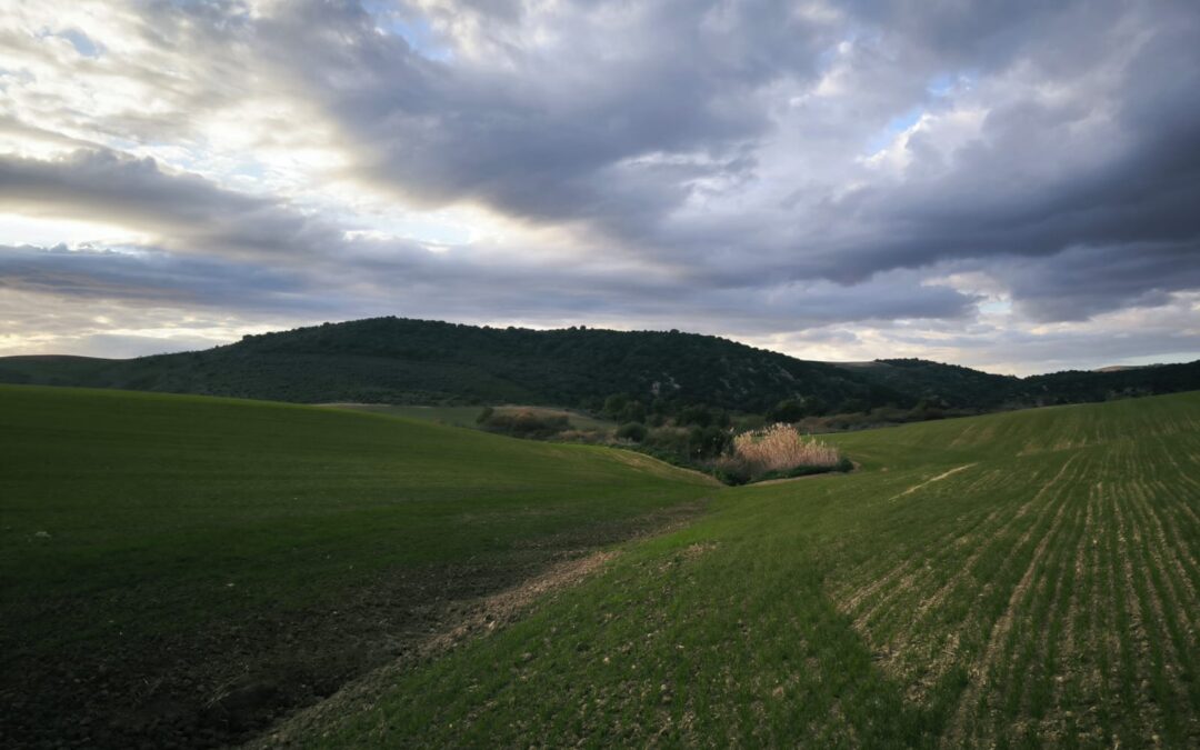 La Junta asigna a la Unidad Aceleradora de Proyectos la iniciativa de la compañía Verdalia Bio Arcos para desarrollar una planta de biogás en Arcos de la Frontera